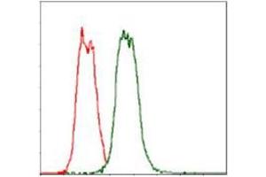 Flow cytometric analysis of Hela cells using CD30 mouse mAb (green) and negative control (red). (TNFRSF8 antibody)