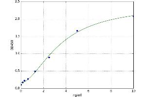 Activin AB (ACVAB) ELISA Kit