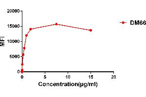 Affinity ranking of different Rabbit anti-4-1BB mAb clones by titration of different concentration onto Expi 293 cell line transfected with human 4-1BB. (CD137 antibody  (AA 24-186))