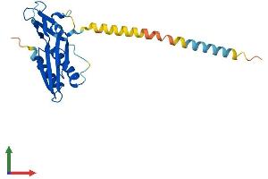 Protein Structure (PS) image for Receptor (Chemosensory) Transporter Protein 2 (RTP2) (AA 1-223) protein (His tag) (ABIN7558455)