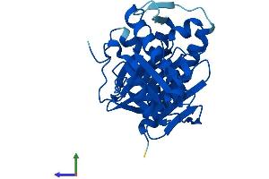 AlphaFold protein structure predicition of Human Recombinant IMPA1 Protein, UniprotID P29218 (IMPA1 Protein (AA 1-277) (His tag))