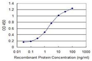 Detection limit for recombinant GST tagged TAF7L is 0. (TAF7L antibody  (AA 231-332))