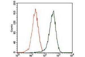 Flow Cytometry (FACS) image for anti-Sequestosome 1 (SQSTM1) (AA 232-356) antibody (ABIN1724836)