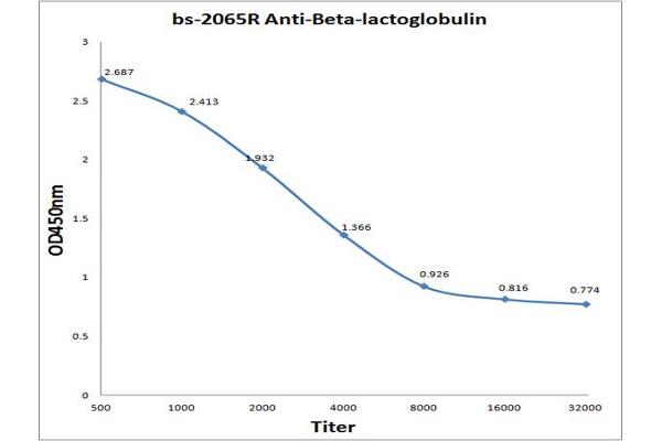 Beta Lactoglobulin (LGB) (AA 51-130) 抗体