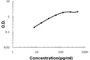 Sandwich ELISA - Recombinant mouse MIP-3 Alpha/CCL20 protein standard curve.