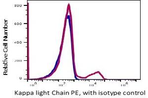 Image no. 2 for anti-kappa Light Chain antibody (PE) (ABIN5067822) (kappa Light Chain antibody  (PE))