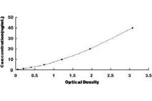 Typical standard curve (Prokineticin Receptor 1 ELISA Kit)