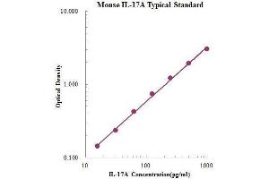 ELISA image for Interleukin 17A (IL17A) ELISA Kit (ABIN2472096) (Interleukin 17a ELISA Kit)