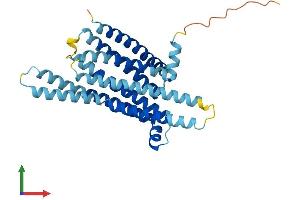 Protein Structure (PS) image for Taste Receptor, Type 2, Member 3 (TAS2R3) (AA 1-316) protein (His tag) (ABIN7558263)