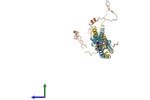 AlphaFold protein structure predicition of Human Recombinant APOL3 Protein, UniprotID O95236