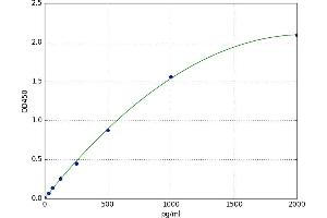 POTE Ankyrin Domain Family, Member E (POTEE) ELISA Kit