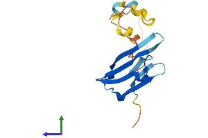 AlphaFold protein structure predicition of Mouse Recombinant Hspb3 Protein, UniprotID Q9QZ57 (HSPB3 Protein (AA 1-154) (His tag))