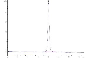 Size-exclusion chromatography-High Pressure Liquid Chromatography (SEC-HPLC) image for Signal-Regulatory Protein beta 1 (SIRPB1) (AA 30-371), (Isoform 3) protein (His-Avi Tag,Biotin) (ABIN7275661)