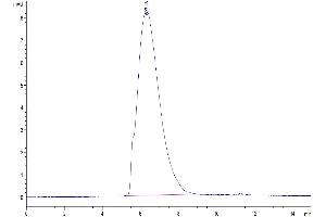 The purity of Mouse Glypican 2/GPC2 is greater than 95 % as determined by SEC-HPLC. (GPC2 Protein (AA 22-556) (His tag))