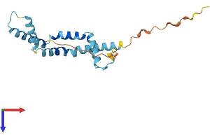 Biorientation of Chromosomes in Cell Division 1-Like 2 (BOD1L2) (AA 1-172) protein (His tag)