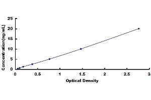 Typical standard curve (LRG1 ELISA Kit)