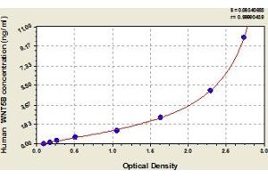 Typical Standard Curve (WNT5B ELISA Kit)