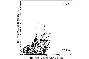 Flow Cytometry (FACS) image for Rat anti-Mouse Ig (Chain lambda), (Light Chain) antibody (PE) (ABIN356180) (Rat anti-Mouse Ig (Chain lambda), (Light Chain) Antibody (PE))
