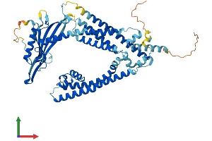 AlphaFold protein structure predicition of Mouse Recombinant Mcoln3 Protein, UniprotID Q8R4F0 (Mucolipin 3 Protein (Mcoln3) (AA 1-553) (His tag))