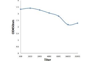 Antigen: 0. (VEGFB antibody  (AA 101-207))