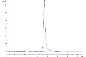 Size-exclusion chromatography-High Pressure Liquid Chromatography (SEC-HPLC) image for Paired Immunoglobin-Like Type 2 Receptor alpha (PILRA) (AA 20-197) protein (Fc Tag) (ABIN7275474)