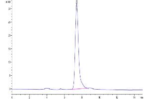 The purity of Human PILRA is greater than 95 % as determined by SEC-HPLC. (PILRA Protein (AA 20-197) (Fc Tag))