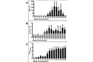 ELISA results using Goat Anti-Ferret IgG Antibody Biotin Conjugated. (Goat anti-Ferret IgG Antibody (Biotin))