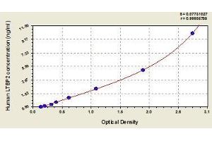LTBP2 ELISA Kit