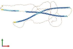 Protein Structure (PS) image for Keratin 2 (KRT2) (AA 1-639) protein (His tag) (ABIN7548726)
