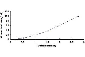 Regenerating Islet Derived Protein 3 gamma (REG3g) ELISA Kit
