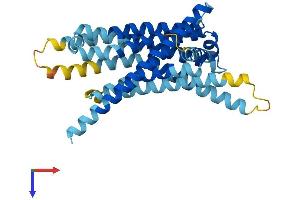 AlphaFold protein structure predicition of Mouse Recombinant Tas2r109 Protein, UniprotID Q7M707 (TAS2R109 Protein (AA 1-316) (His tag))