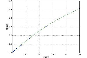 Lipocalin 1 (LCN1) ELISA Kit