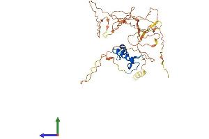 Protein Structure (PS) image for Nuclear Transcription Factor Y, alpha (NFYA) (AA 1-347) protein (His tag) (ABIN7549805)