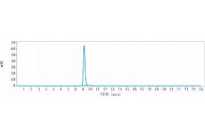 The purity of Anti-CD4 Reference Antibody (ibalizumab) is more than 95 % , determined by SEC-HPLC. (Recombinant CD4 (Ibalizumab Biosimilar) antibody)