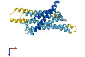 AlphaFold protein structure predicition of Mouse Recombinant Tas2r107 Protein, UniprotID Q7M725 (TAS2R107 Protein (AA 1-308) (His tag))