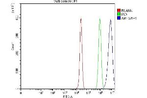 Flow Cytometry analysis of HepG2 cells using anti-ARFGAP1 antibody (ABIN4886474). (ARFGAP1 antibody  (AA 1-183))