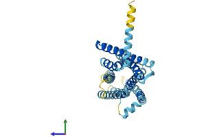 AlphaFold protein structure predicition of Mouse Recombinant Tas2r106 Protein, UniprotID Q7M724 (TAS2R106 Protein (AA 1-308) (His tag))