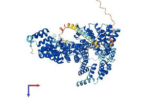 AlphaFold protein structure predicition of Mouse Recombinant Naa16 Protein, UniprotID Q9DBB4 (NARG1L Protein (AA 1-864) (His tag))