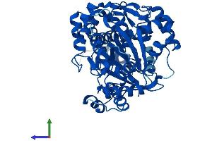 Protein Structure (PS) image for threonine Synthase-Like 2 (THNSL2) (AA 1-483) protein (His tag) (ABIN7558378)