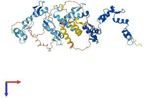 Protein Structure (PS) image for Zinc Finger Protein 846 (ZNF846) (AA 1-533) protein (His tag) (ABIN7545504)