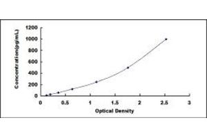 Typical standard curve (CEACAM3 ELISA Kit)