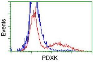 HEK293T cells transfected with either RC200975 overexpress plasmid (Red) or empty vector control plasmid (Blue) were immunostained by anti-PDXK antibody (ABIN2454665), and then analyzed by flow cytometry. (PDXK antibody)