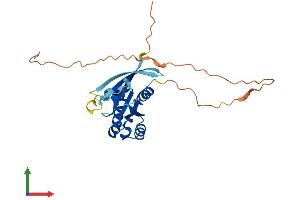 AlphaFold protein structure predicition of Human Recombinant RAB6C Protein, UniprotID Q9H0N0 (WTH3DI Protein (AA 1-254) (His tag))