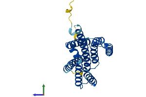 AlphaFold protein structure predicition of Mouse Recombinant Tmbim6 Protein, UniprotID Q9D2C7 (Bax Inhibitor 1 Protein (AA 1-237) (His tag))