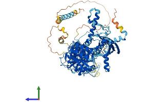 AlphaFold protein structure predicition of Human Recombinant CHSY1 Protein, UniprotID Q86X52