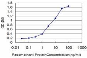 Detection limit for recombinant GST tagged FOXQ1 is approximately 0. (FOXQ1 antibody  (AA 110-219))