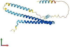 Protein Structure (PS) image for Charged Multivesicular Body Protein 2A (CHMP2A) (AA 1-222) protein (His tag) (ABIN7553321)