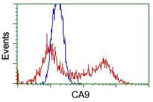 Flow Cytometry (FACS) image for anti-Carbonic Anhydrase IX (CA9) antibody (ABIN1497095) (CA9 antibody)
