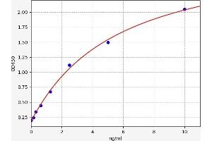 Growth Differentiation Factor 5 (GDF5) ELISA Kit
