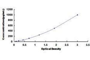 Vascular Endothelial Cell Growth Factor 121 (VEGF121) ELISA Kit